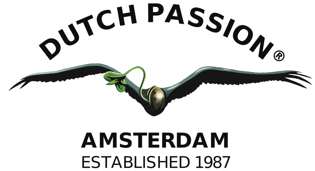 dutch passion